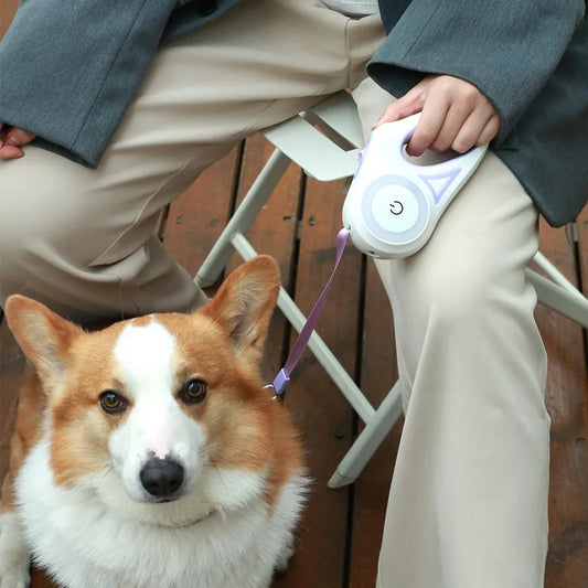 Dog Luminous Leash With Lights Small Medium Dogs Automatic Retractable Dog Walking Leash Teddy Travel Pet Supplies Accessories
