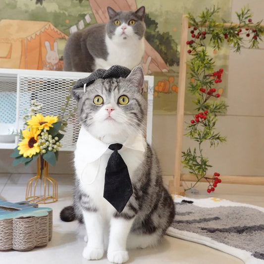 Funny Pet Cat Hat Gentleman's Hat Beret Tie Bathing Blood Gangster Handsome Cosplay Photo Prop Pet Halloween Costume
