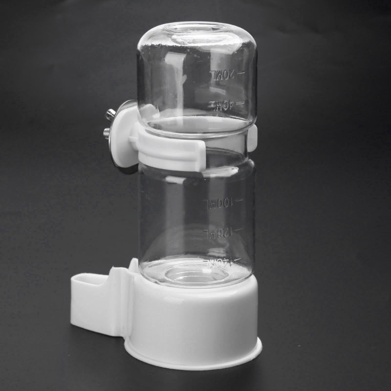 Bird Water Feeders Automatic Parrot Automatic Feeder Drinker Water Dispenser Dropshipping
