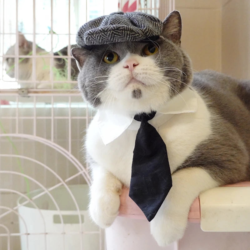 Funny Pet Cat Hat Gentleman's Hat Beret Tie Bathing Blood Gangster Handsome Cosplay Photo Prop Pet Halloween Costume