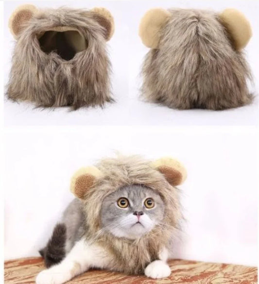 A HAT FOR CAT Cute Costume Warm Cap for Cat Adjustable Soft Small Pet Headwear