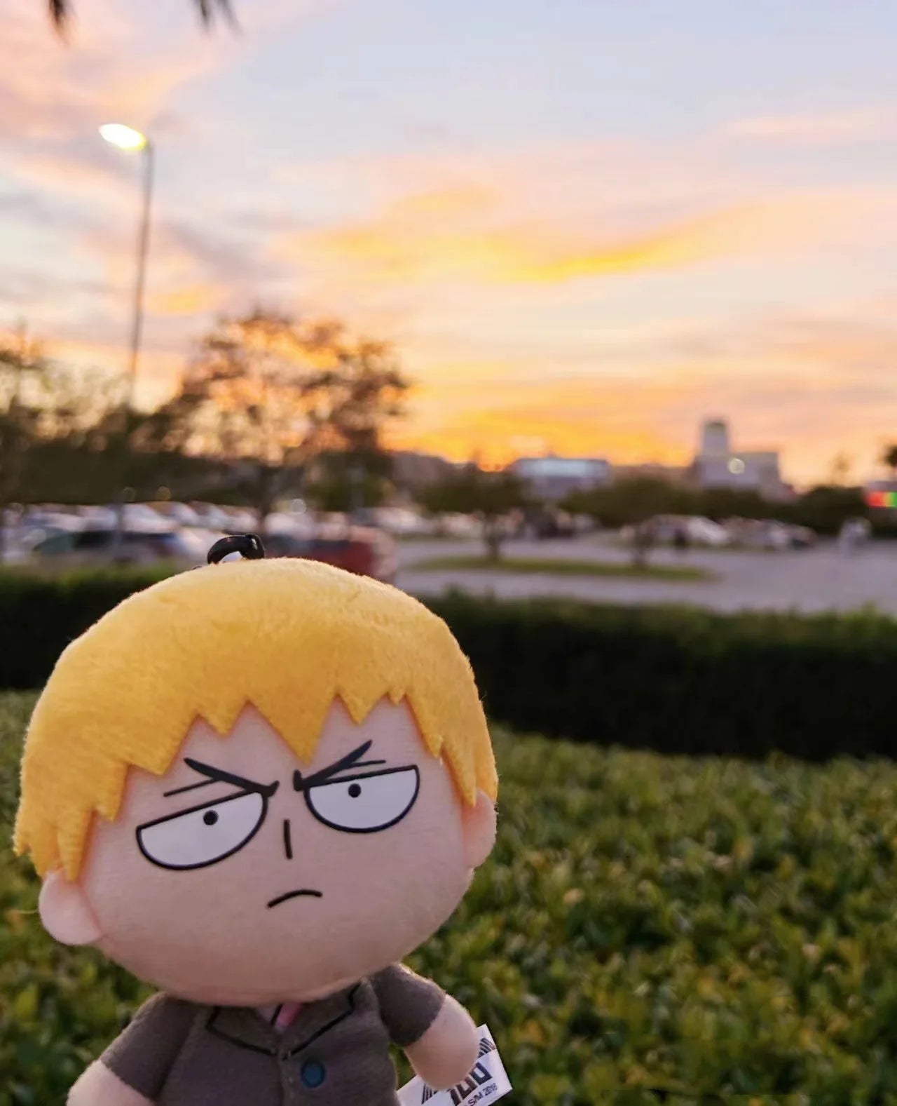 Mob Psycho 100 Cute Ryoga Shirota Plush Doll Cartoon Creative Bed Ornaments Shigeo Kageyama Holiday Gift Anime Periphery