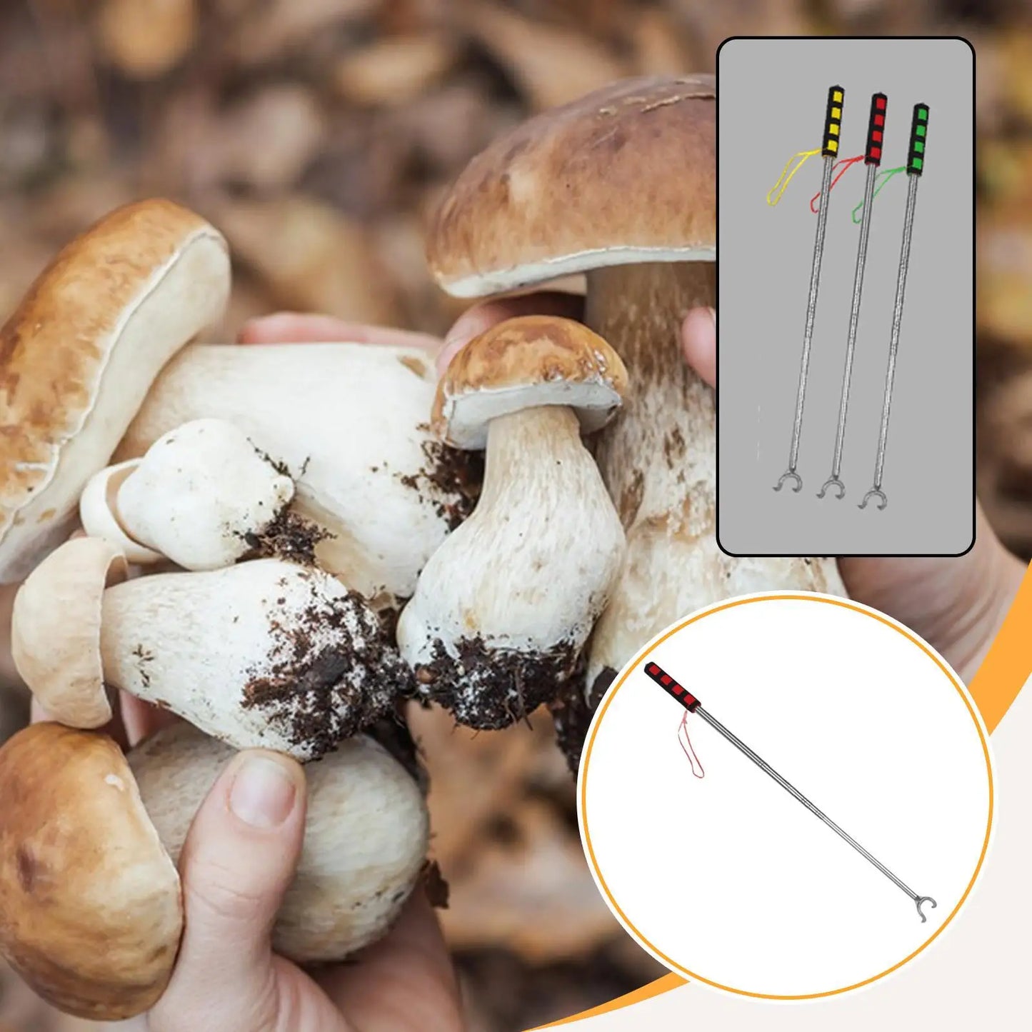 Mushroom Foraging Picker 2 Hooks Sturdy Handheld Adjustable Retractable Ergonomic Handle Mushroom Picking Tool Reaching Aid