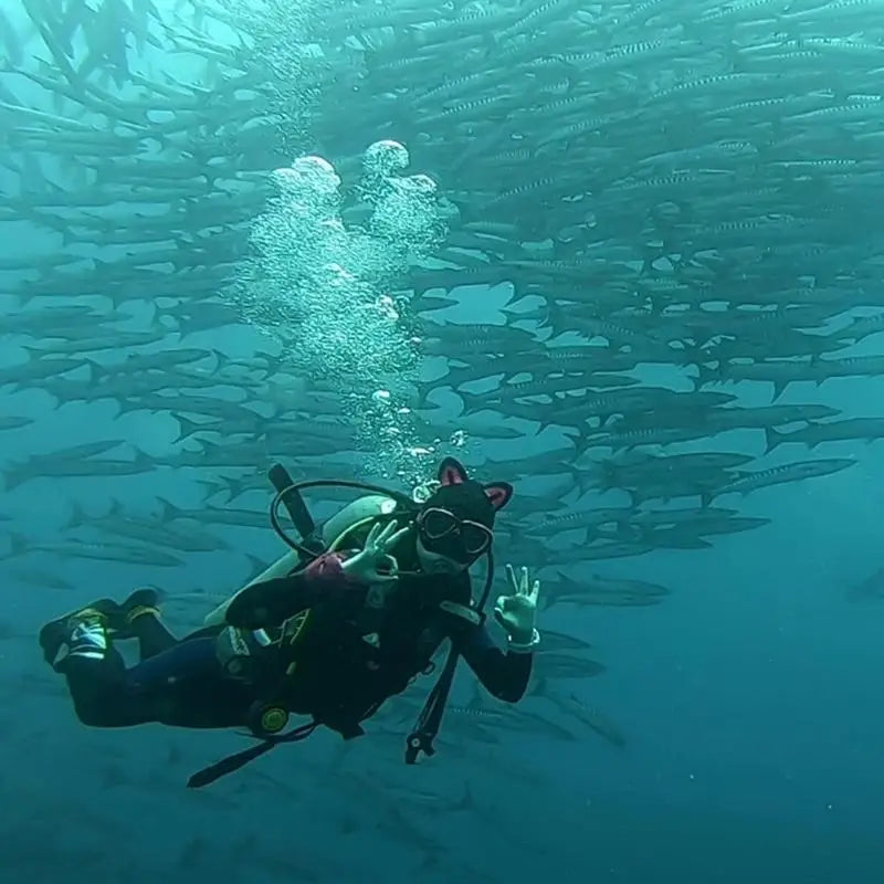 Diving Hats for Men Warm Ergonomic Swim Hat Cat Ears Diving Hat Wear-Resistant Surf Hats for Surfing Snorkeling Water Sports