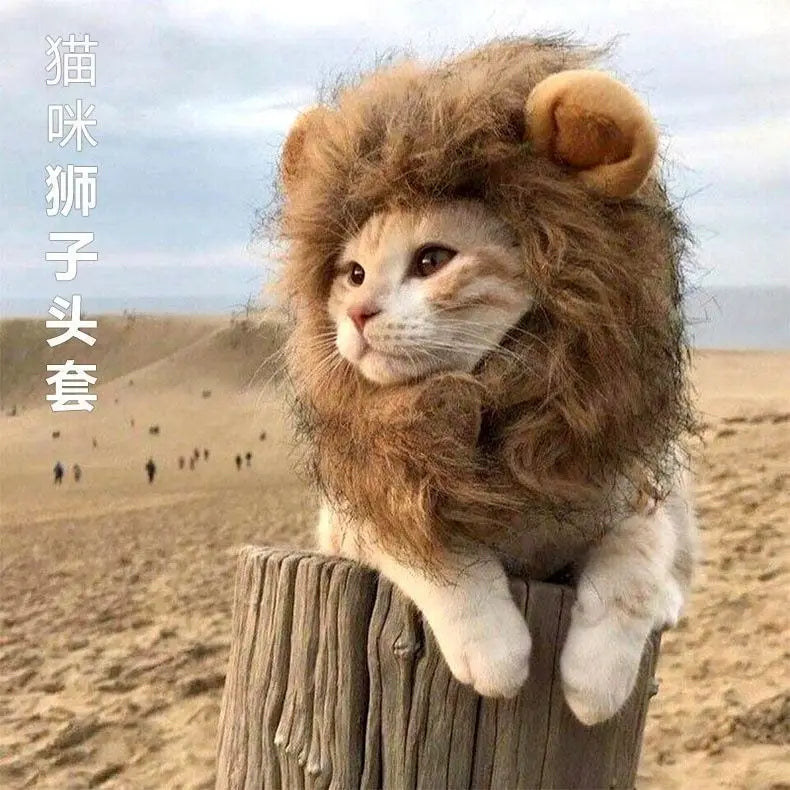 A HAT FOR CAT Cute Costume Warm Cap for Cat Adjustable Soft Small Pet Headwear